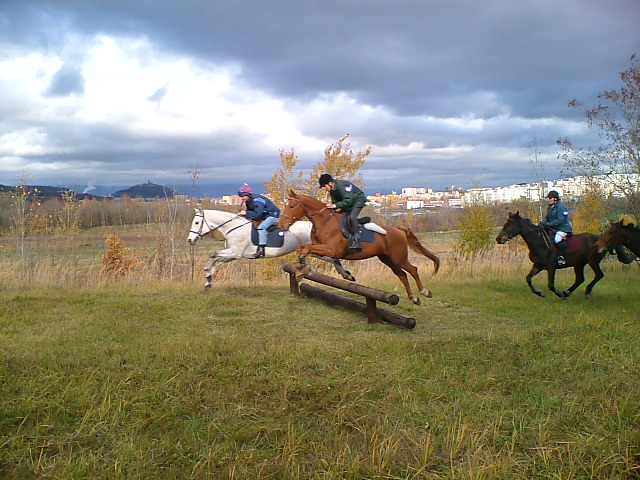 DSCF7452.JPG