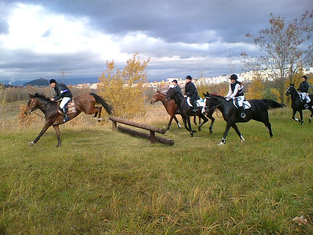 DSCF7453.JPG