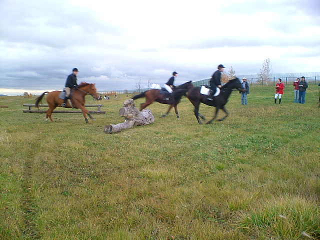 DSCF7458.JPG