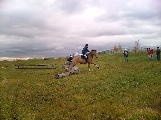 DSCF7461.JPG